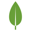 logo mongodb